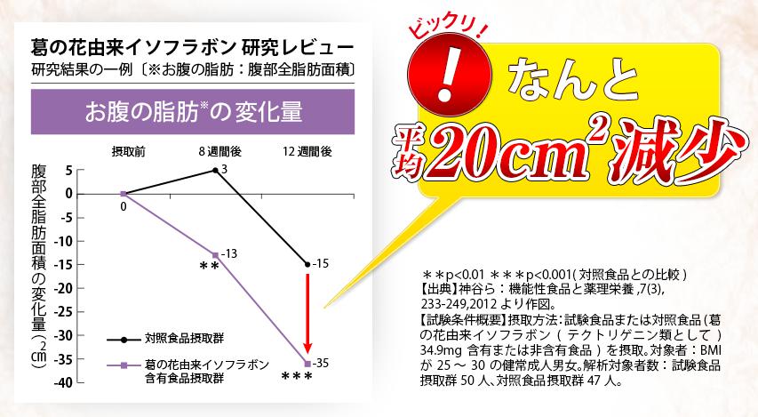 葛の花イソフラボンスリム　効果効能